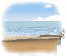 Задание рисунок 1