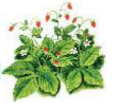 Задание рисунок 1