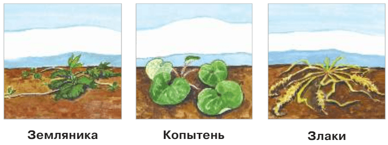 Задание рисунок 1