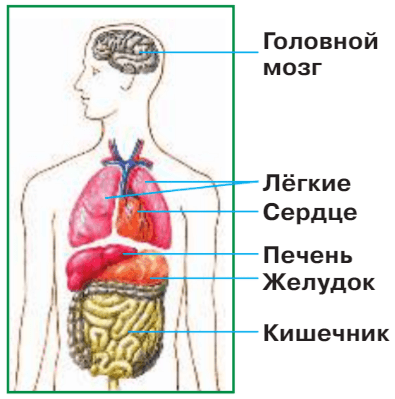 Задание рисунок 1