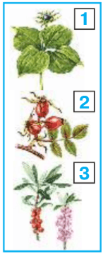 Задание рисунок 1