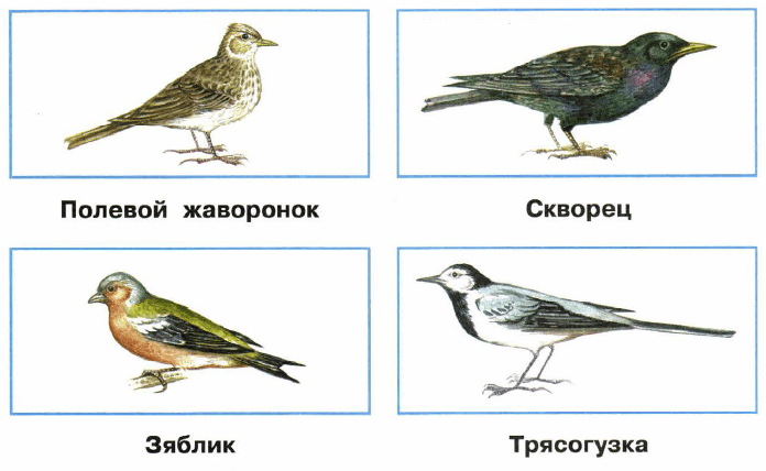 Решение рисунок 2