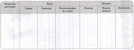 Задание рисунок 1