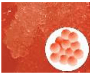 Решение рисунок 1