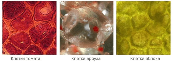 Решение рисунок 3