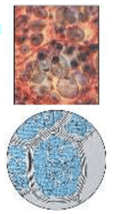 Решение рисунок 1